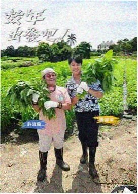 王牌对王牌 金桔影院